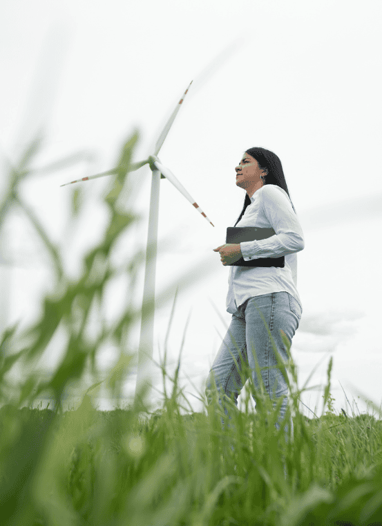 Image hover effect image